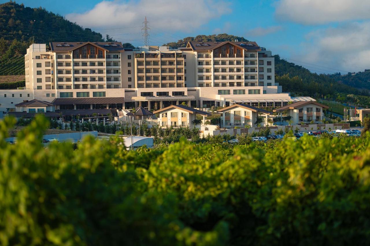 Bn Hotel Thermal & Wellness メルスィン エクステリア 写真